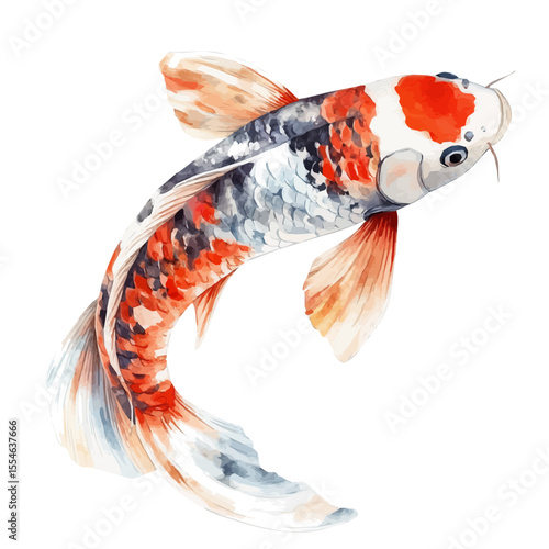 watercolor vector of Koi Fish, isolated on a white background.