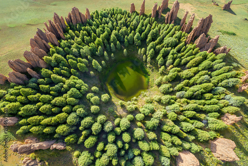 Optimization and Visualization: Nelder-Mead Minimization Algorithm Displayed as a 2D Landscape from Above, Color-Coded for Efficiency and Convergence