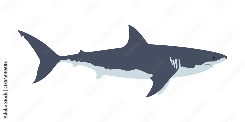 Shark graphic badge. Shark sign isolated on white background. Great white shark symbol. Vector illustration Shark graphic badge. Shark sign isolated on white background. Great white shark symbol. Vector illustration