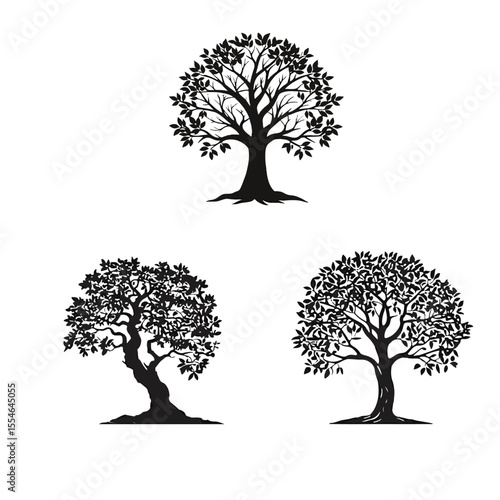 tree image