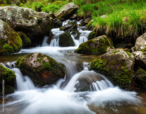 Clear Water Flowing Through Rocky Stream – High-Resolution Realistic Photo of Fresh River Water Running Over Stones in a Small Forest Creek with Natural Light, Textured Rocks, and Peaceful Nature Scen