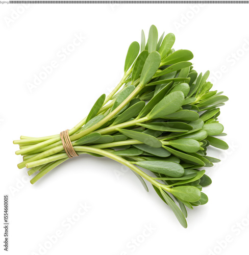 Fresh Purslane Greens A Culinary and Medicinal Herb