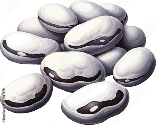 Vector watercolor painted illustration of black and white beans
