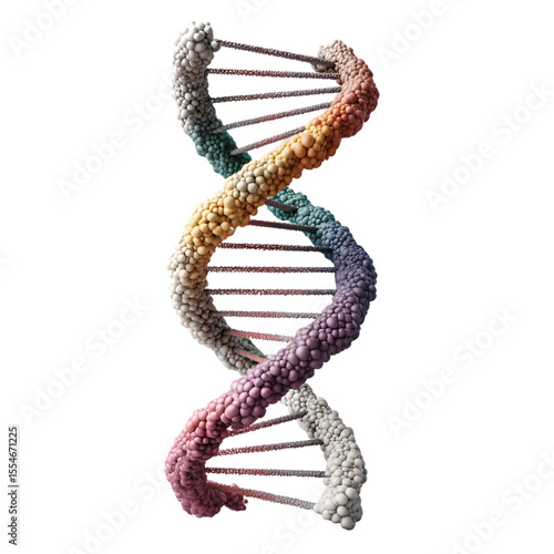 3D DNA genome structure strand rendered in detail isolated on a transparent background