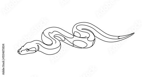 Python snake drawing. It is a black and white outline image of a python snake, known for its large size and distinct patterns. Vector sketch line art draw.