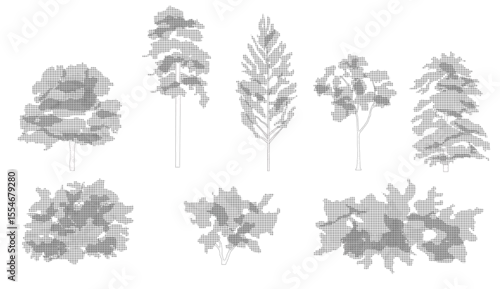 Fototapeta Trees and bushes in elevation view for use in architectural drawings