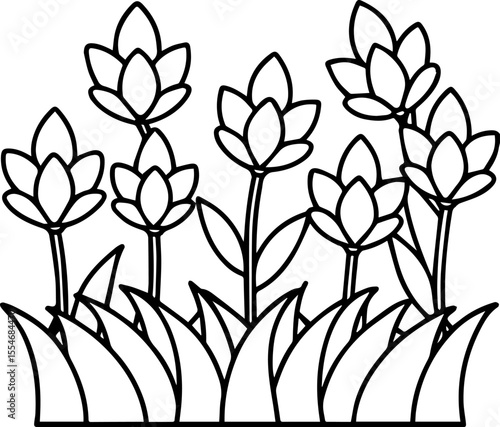 Flowerbeds black outline vector and illustration, coloring book page