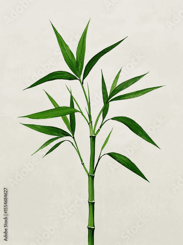 Resilient Luck Pool Auspicious plants Lucky Bamboo isolated watercolor vector illustration svg