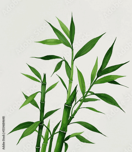 Fortune’s Liquid Grace Auspicious plants Lucky Bamboo isolated watercolor vector illustration svg
