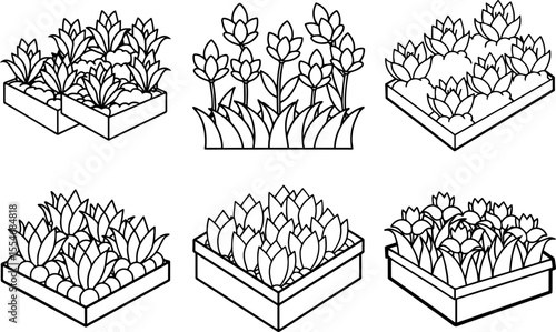 A Set of Flowerbeds black outline vector and illustration, coloring book page
