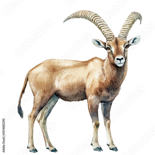 Canvas Print Ibex, watercolor painting vector, isolated on a white background.