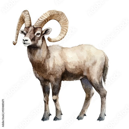 watercolor of Ibex, vector, isolated on a white background.