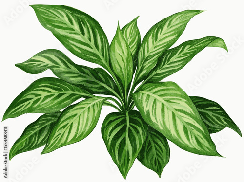 Guardian Pattern Wash Auspicious plants Evergreen Aglaonema isolated watercolor vector illustration svg