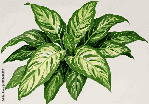 Fortune’s Silver Veins Auspicious plants Evergreen Aglaonema isolated watercolor vector illustration svg