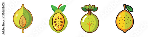 Baobab Fruit Flat Illustration in Simple Minimalist Flat Style
