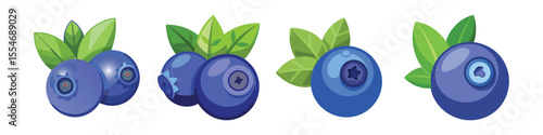 Bilberry Flat Illustration in Simple Minimalist Flat Style