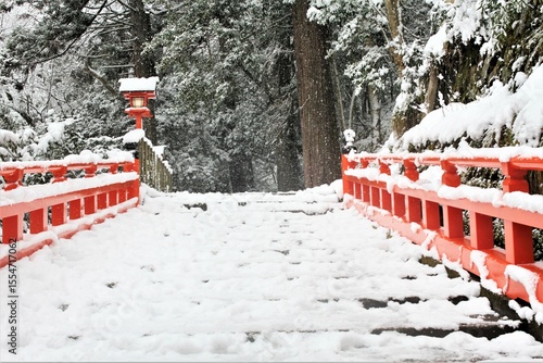 日本、京都,、比叡山、山、冬絶景、雪景色、神社、鳥居、冬の絶景、ポット、旅行、風景、旅、森,、自然、空,、冬、木、写真素材	