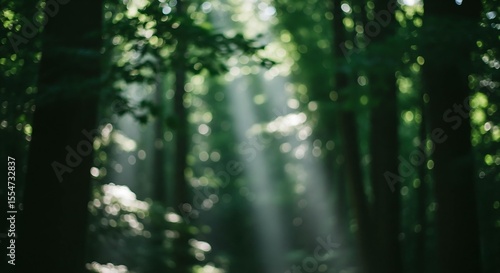 Serene sunlight dappled forest: dreamy bokeh, lush green, tranquil mood