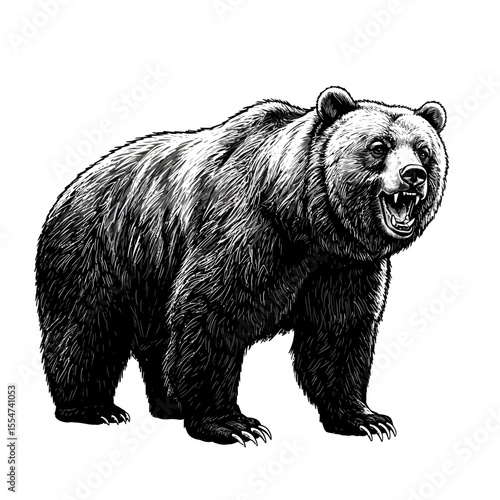 Detailed monochrome drawing showcasing a powerful grizzly bear on white backdrop