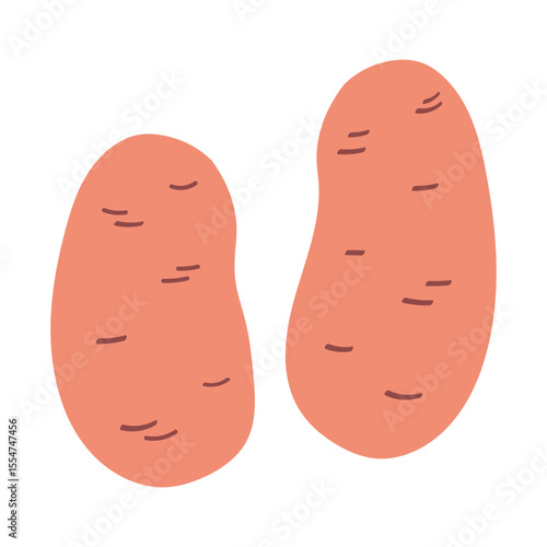 Potato flat style vector illustration on isolated background. Hand drawn colorful ripe ground vegetable potatoes, vegetarian nutrition, farming food, chips. Design element for logo, design, sticker