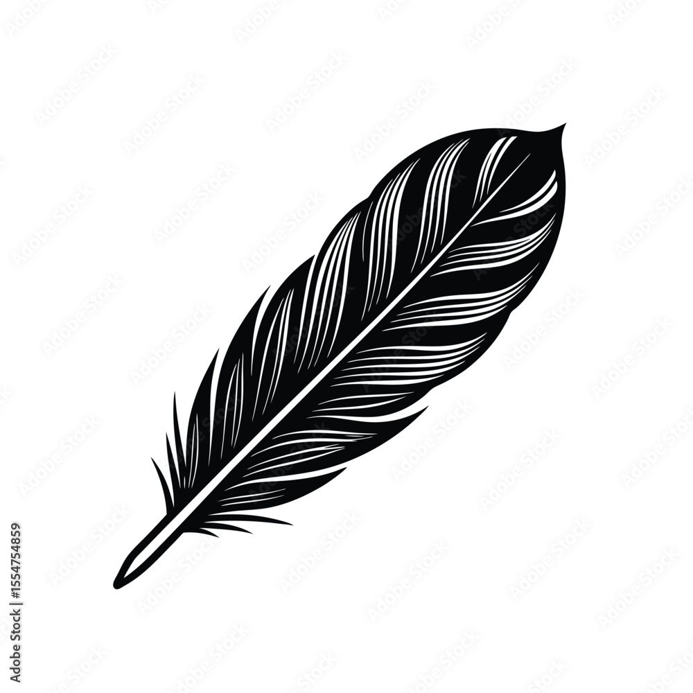 Fototapeta premium feather isolated on white background
