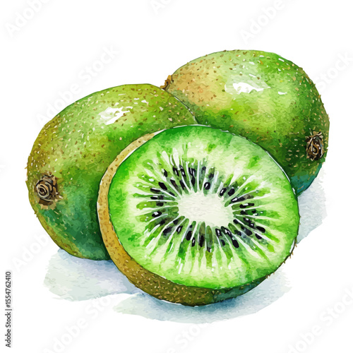 Green Fuzzy Fresh Kiwi, watercolor clipart vector, isolated on a white background.
