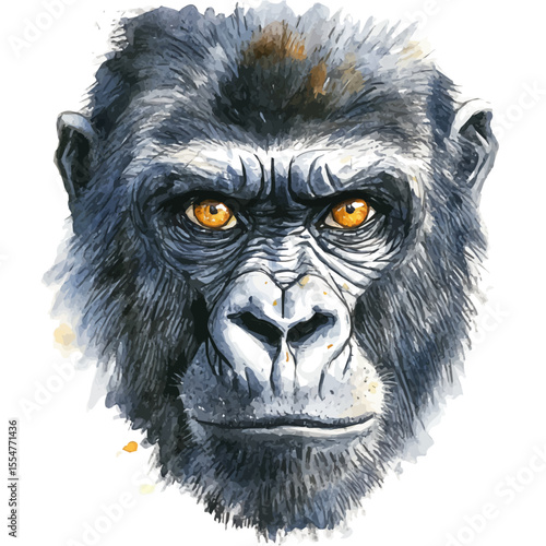 watercolor vector of Gorilla Close Up, isolated on a white background.