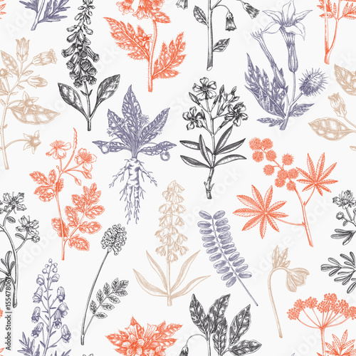 Witch herbs seamless pattern. Poisonous plants background. Apothecary herbs hand-drawn vector illustration. Bohemian design. NOT AI generated