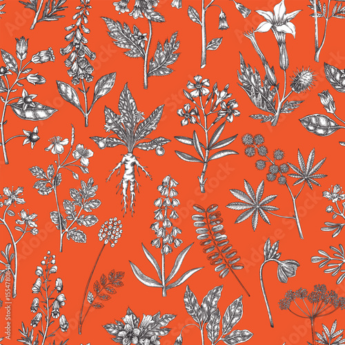 Witch herbs seamless pattern. Poisonous plants background. Apothecary herbs hand-drawn vector illustration. Bohemian design. NOT AI generated