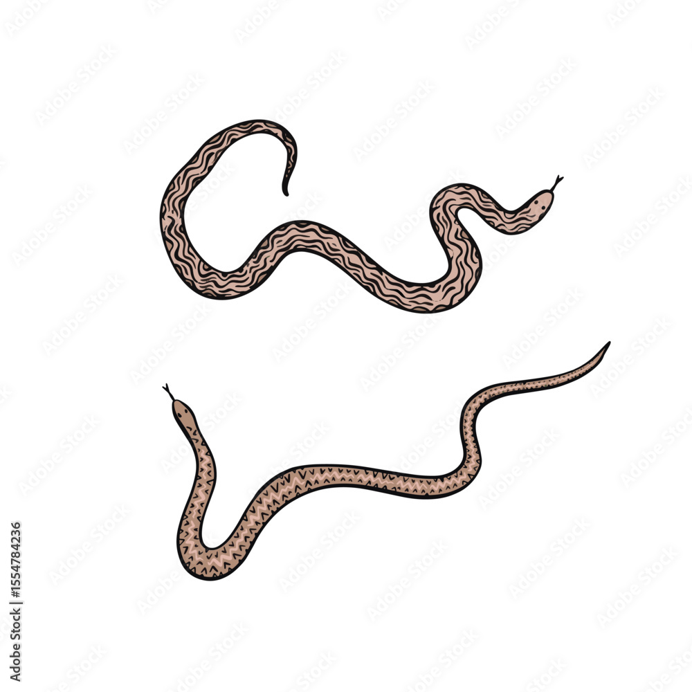 Fototapeta premium Two snakes in pink. Illustrations drawn by hand.