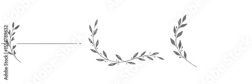 Set of three floral-style page dividers on a transparent background