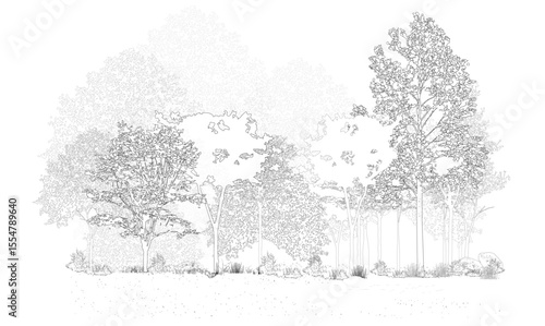 Architectural Drawings, Minimal style cad tree line drawing, Side view, set of section wetland forest outline for landscape design drawing. Vector illustration in separate element