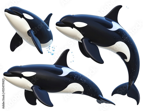 Set of Killer Whales in Diverse Swimming Poses with Bubbles Illustration Transparent Background PNG