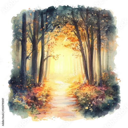 Glowing Forest Path Sunrise, watercolor clipart vector, isolated on a white background.