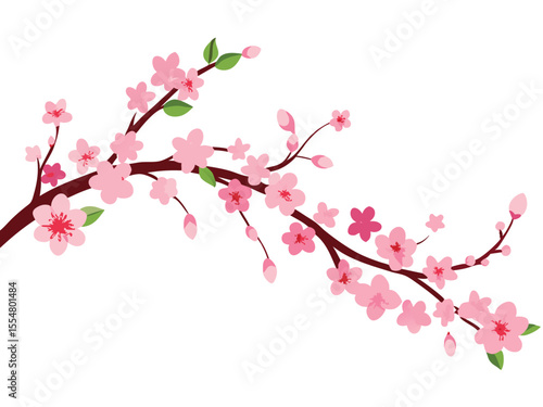 pink cherry tree