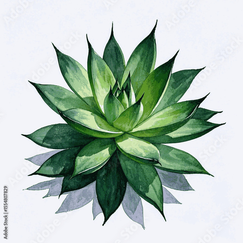Pearl of Protection Auspicious plants Pearl Plant isolated watercolor vector illustration svg