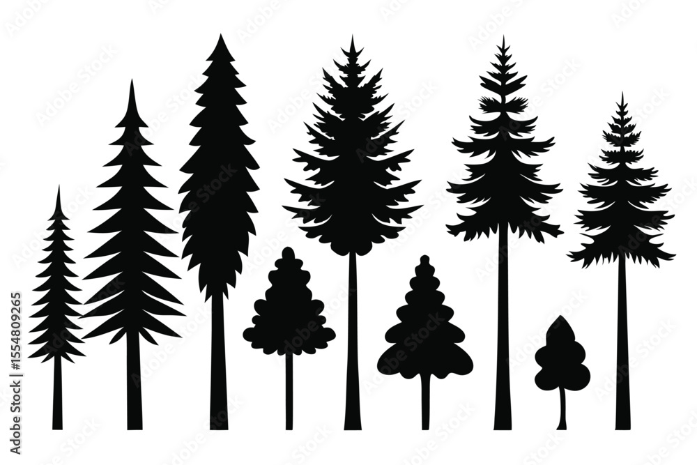 Fototapeta premium Silhouettes of evergreen trees in a forest&nbsp;setting