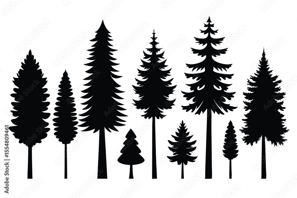 Fototapeta premium Silhouettes of evergreen trees in a forest&nbsp;setting