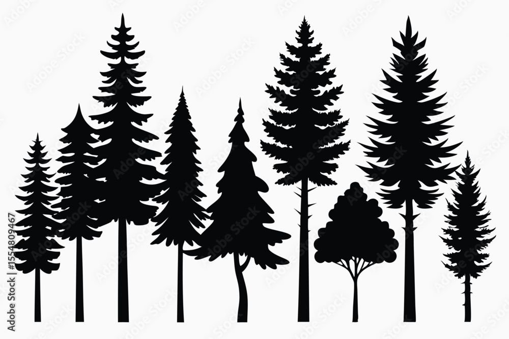 Obraz premium Silhouettes of evergreen trees in a forest setting