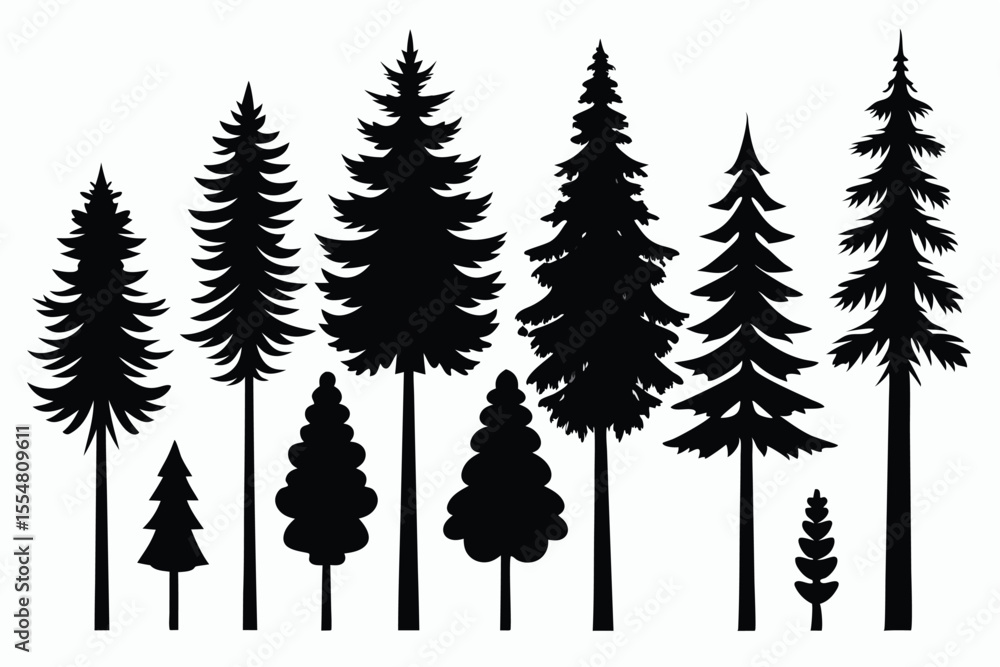 Obraz premium Silhouettes of evergreen trees in a forest&nbsp;setting