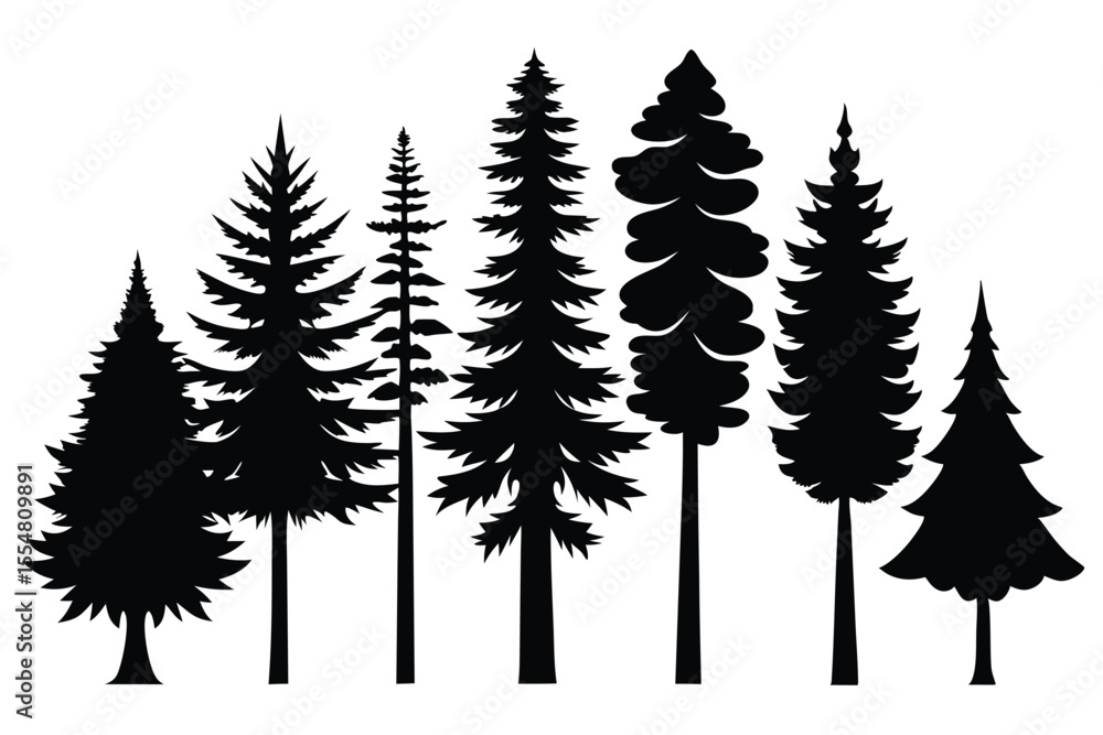 Obraz premium Silhouettes of evergreen trees in a forest&nbsp;setting