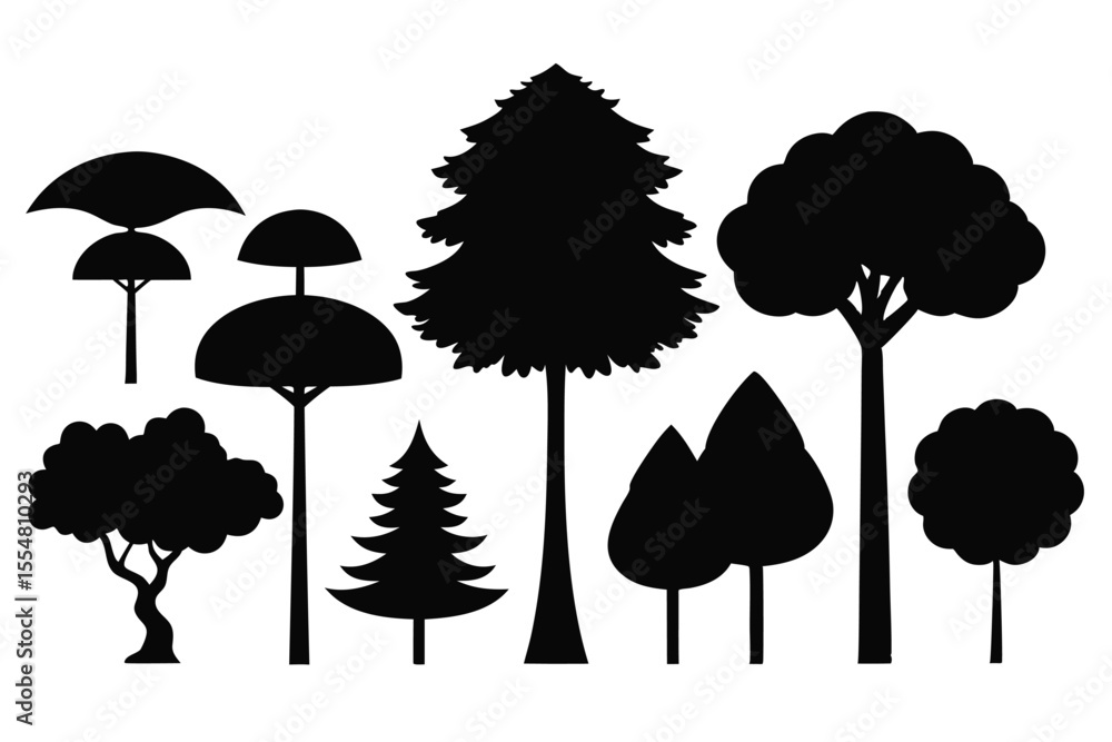 Fototapeta premium Silhouettes of evergreen trees in a forest setting