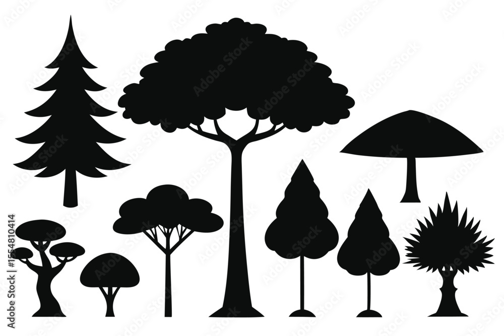 Fototapeta premium Silhouettes of evergreen trees in a forest setting
