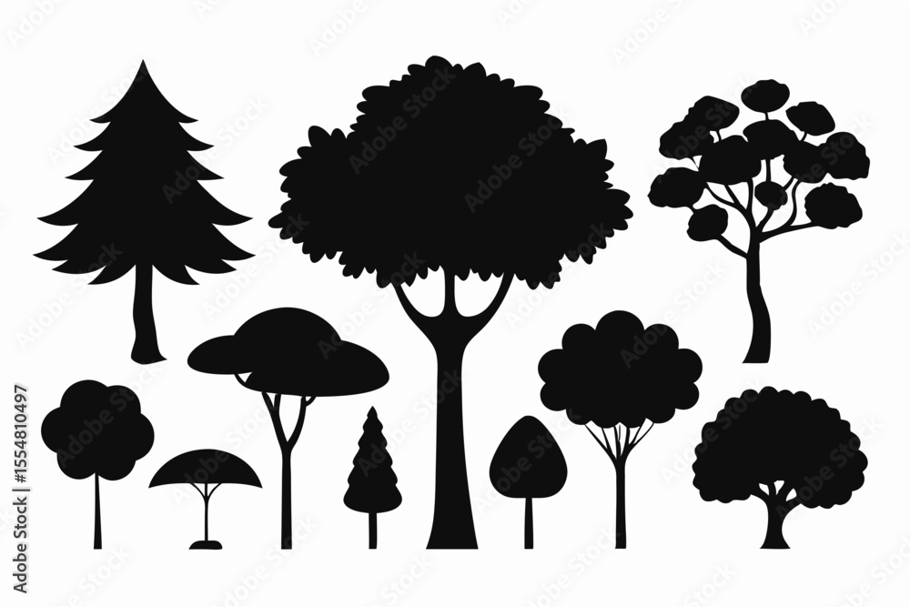 Fototapeta premium Silhouettes of evergreen trees in a forest setting