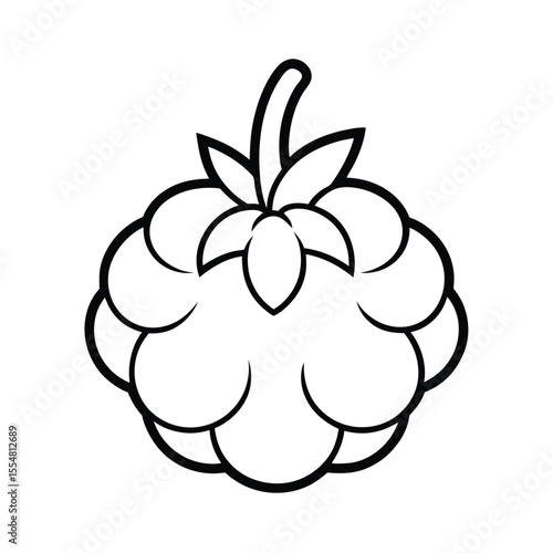 vector illustration of a cloudberry fruit