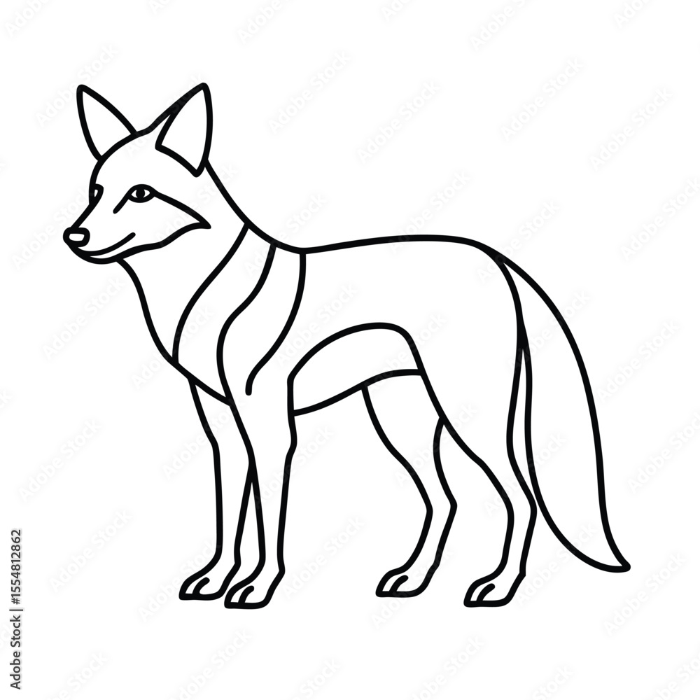 Obraz premium vector illustration of coyote animal