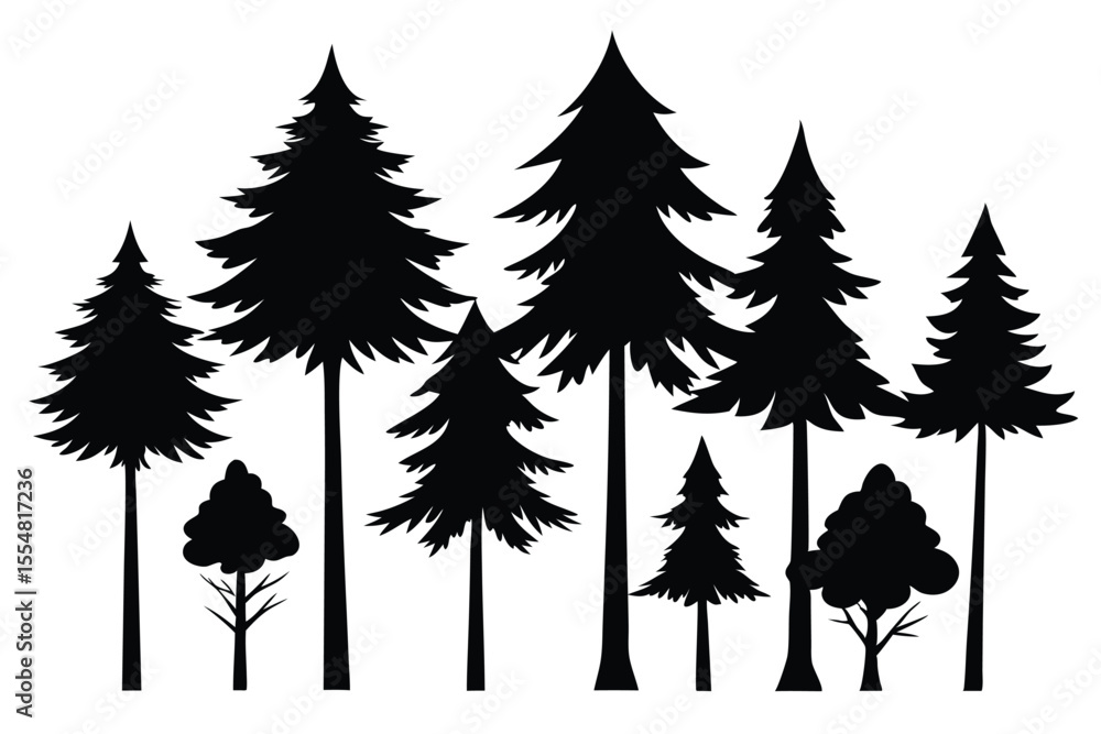 Fototapeta premium Silhouettes of evergreen trees in a forest&nbsp;setting