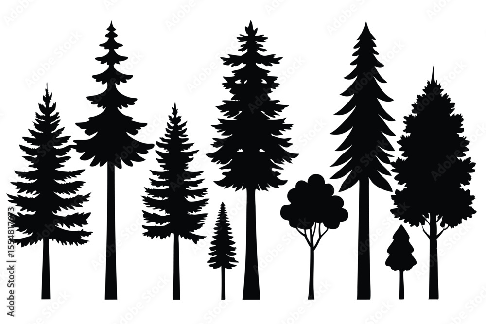 Obraz premium Silhouettes of evergreen trees in a forest&nbsp;setting