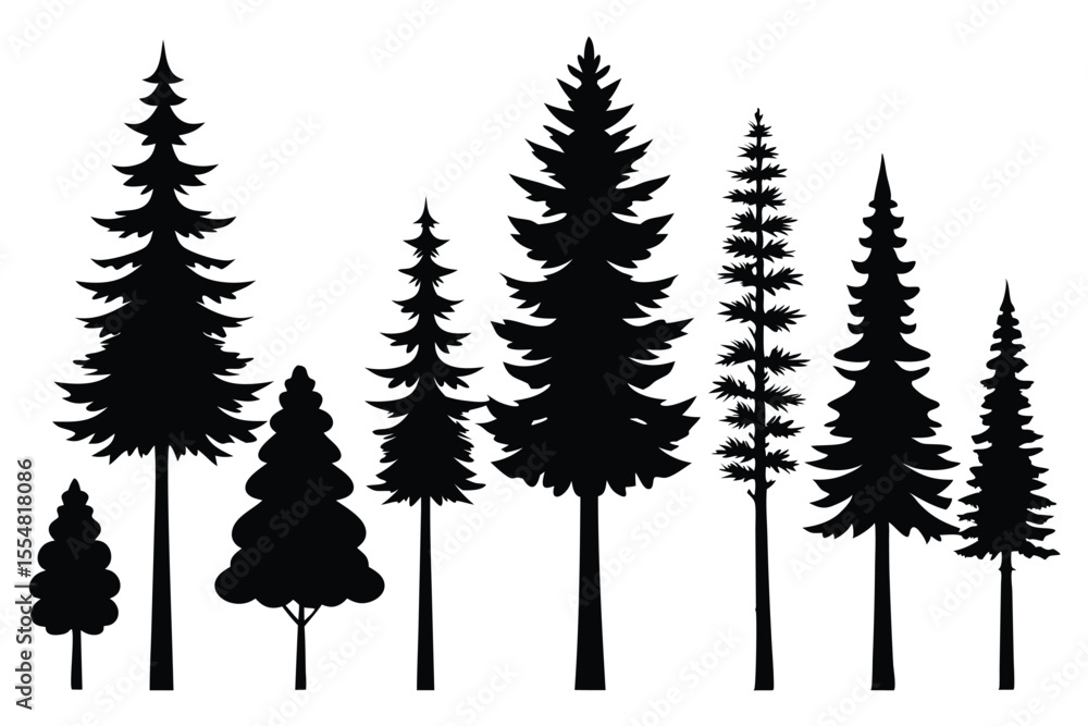 Fototapeta premium Silhouettes of evergreen trees in a forest&nbsp;setting