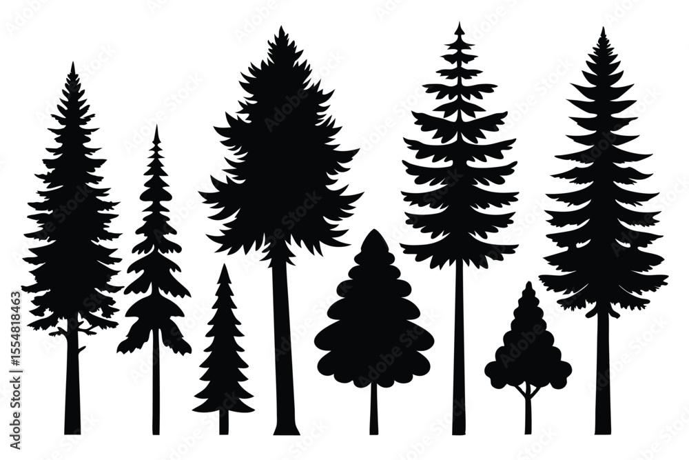 Obraz premium Silhouettes of evergreen trees in a forest&nbsp;setting